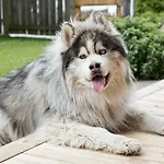 شقة Bewegte Berge *