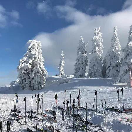 Daire Bewegte Berge Saalfelden