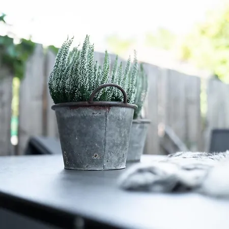 Bewegte Berge * Saalfelden