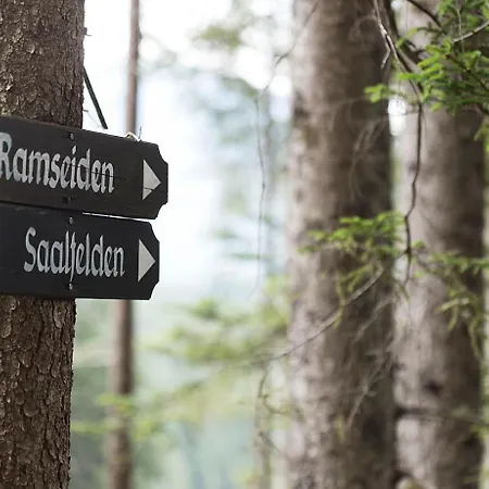 Bewegte Berge Saalfelden