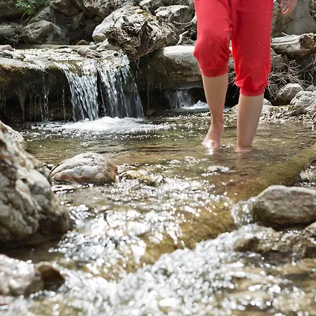 Bewegte Berge * סאלפלדן אם שטיינרן מיר