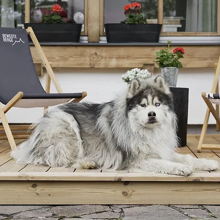 Bewegte Berge Apartman