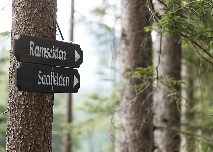 Bewegte Berge Saalfelden